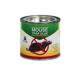 CA MOUSE TRAP