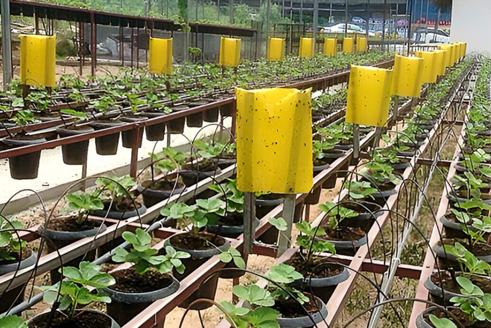 agriculture-2